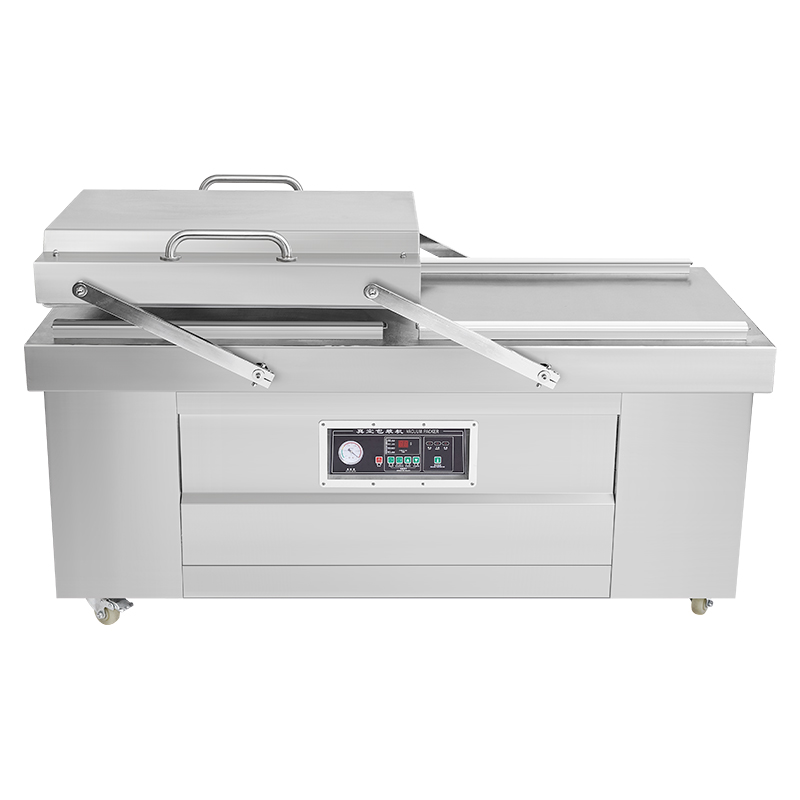 Doppelte Vakuumversiegelung DZ – Meal Prep Vacuum Sealer Bewertung und Preis