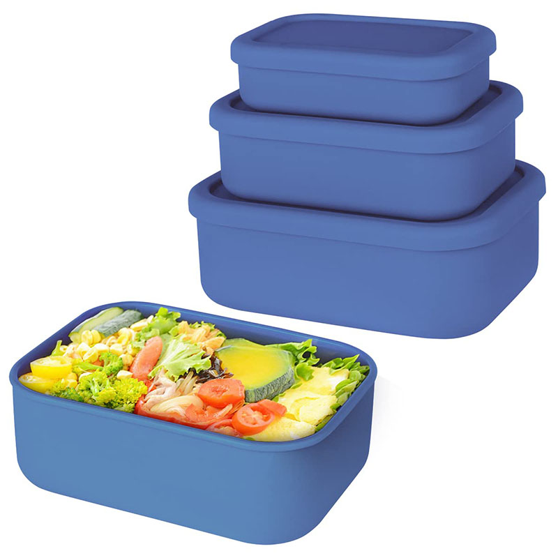Auslaufsichere Bento-Lunchbox, – Meal Prep Ideas Bewertung und Preis